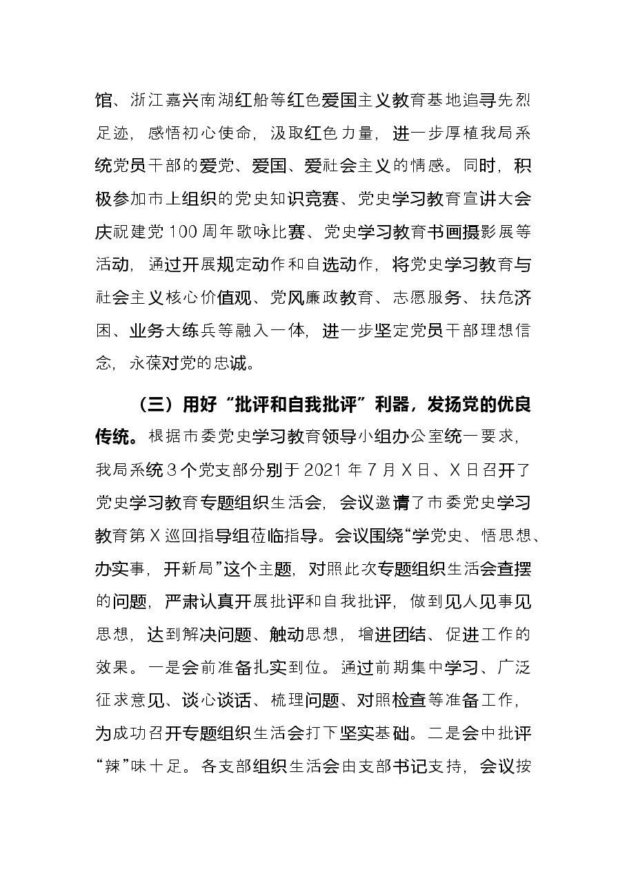 市工信局党史学习教育总结报告.docx,第4页预览