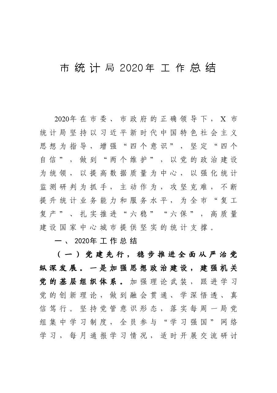 市统计局工作总结.docx,第1页预览