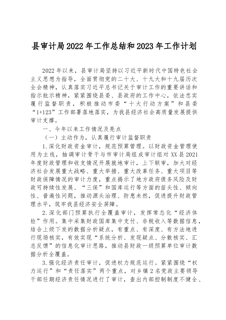 县审计局2022年工作总结和2023年工作计划.docx,第1页预览