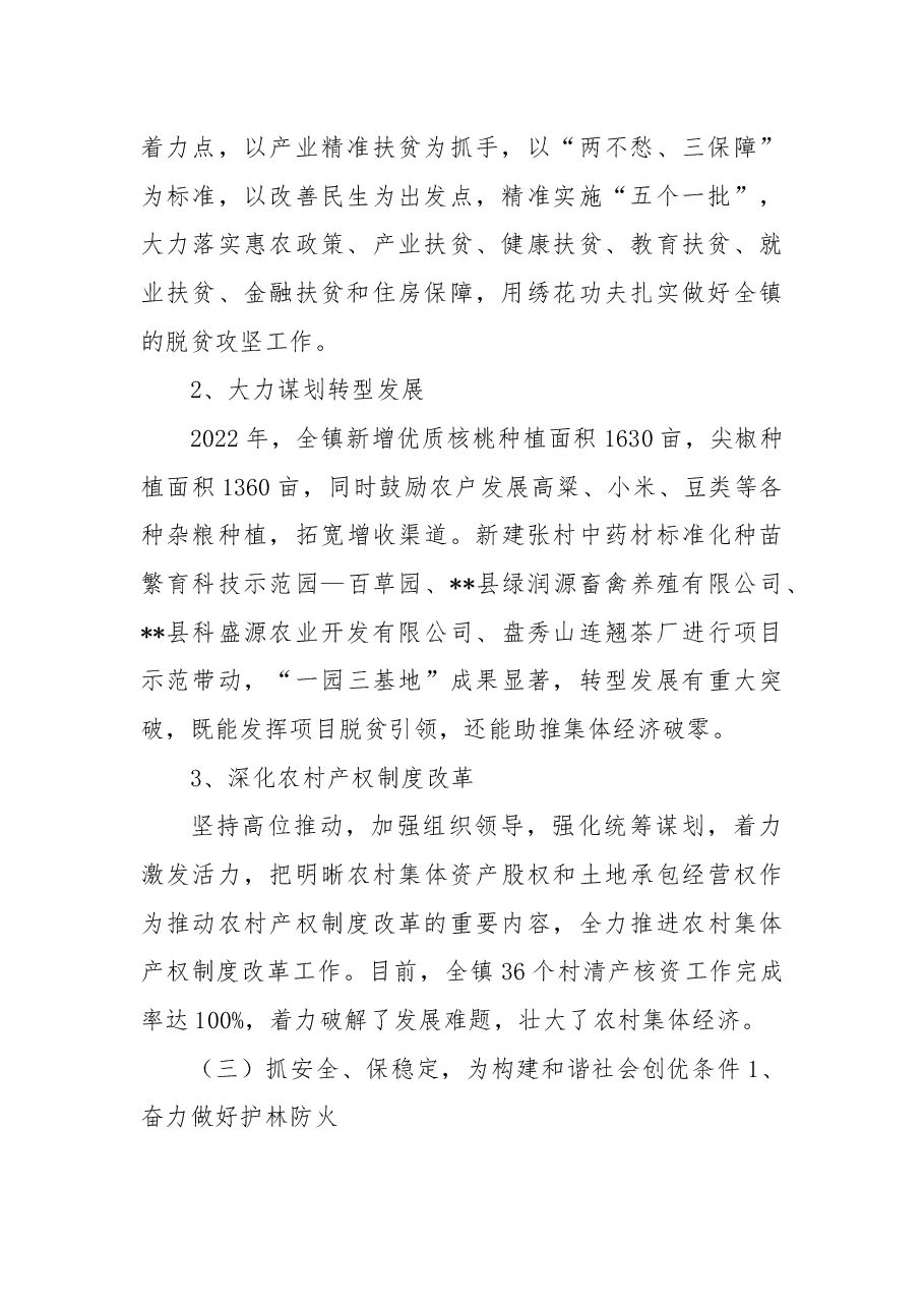 乡镇2022年年度工作总结.docx,第2页预览