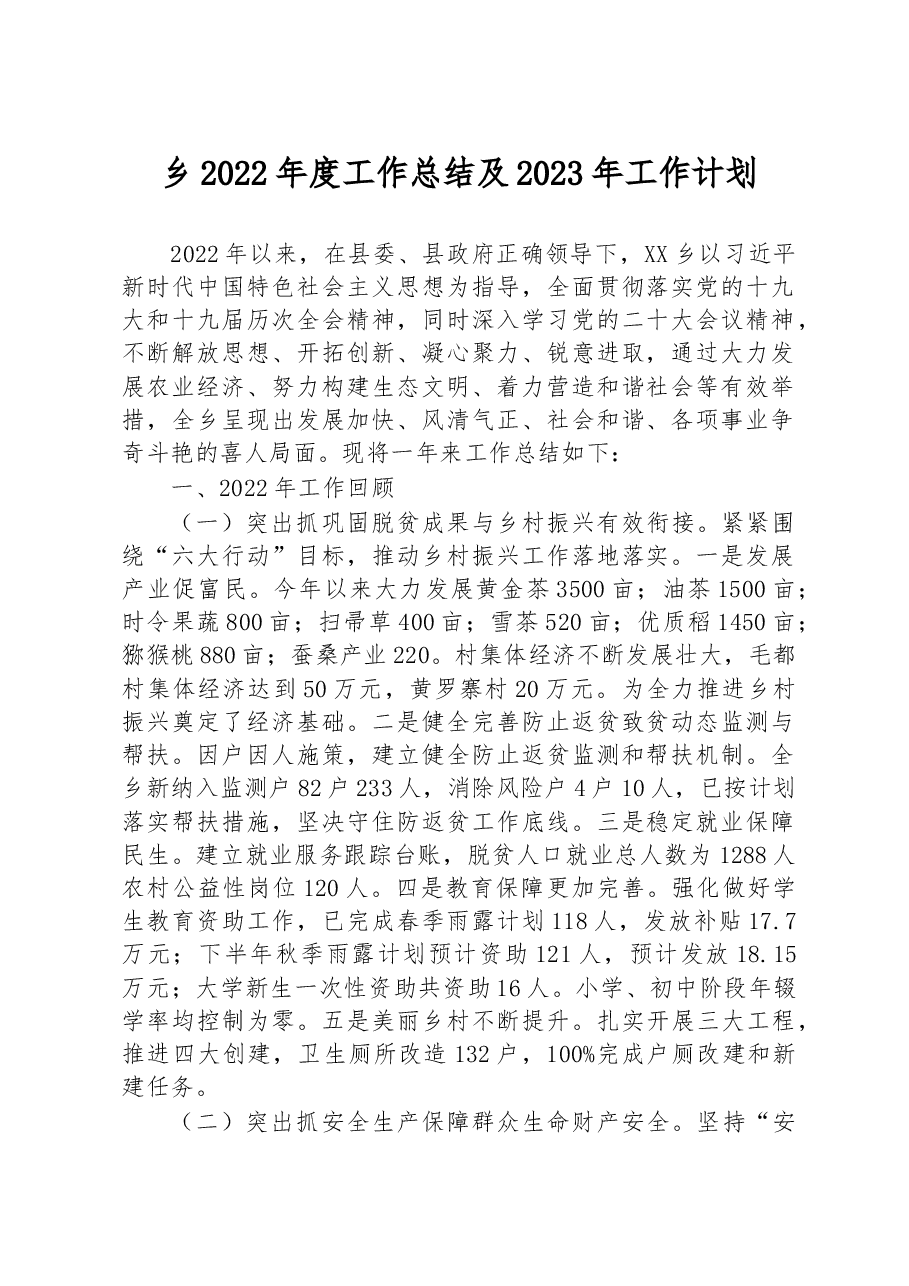 乡2022年度工作总结及2023年工作计划.docx，第1页预览