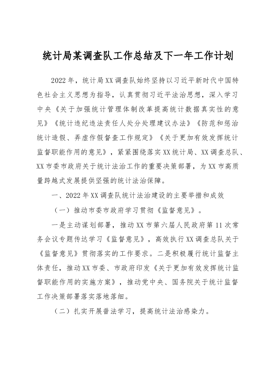 统计局某调查队工作总结及下一年工作计划.docx,第1页预览