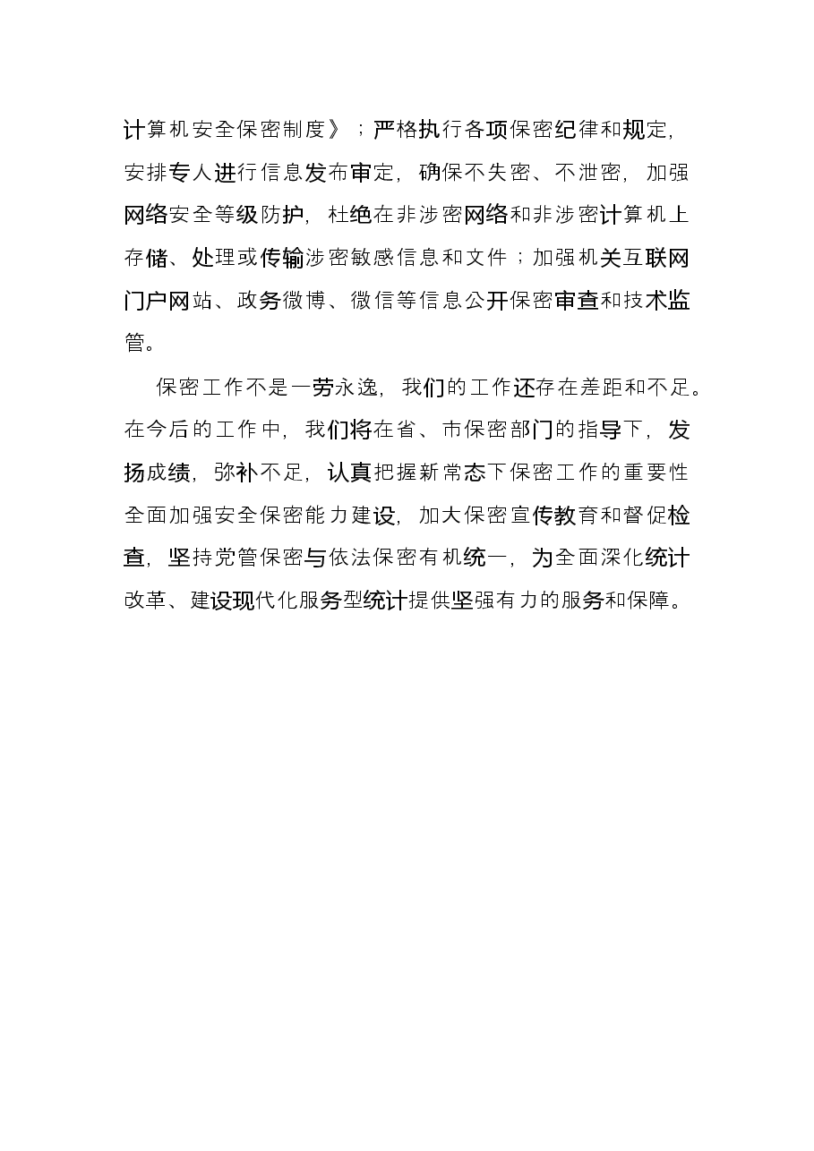 市统计局X年保密工作总结.docx,第4页预览