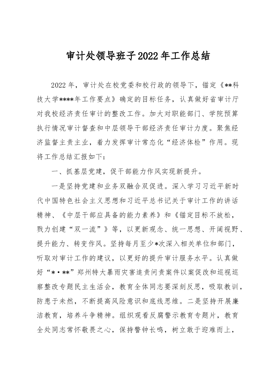 审计处领导班子2022年工作总结.docx，第1页预览