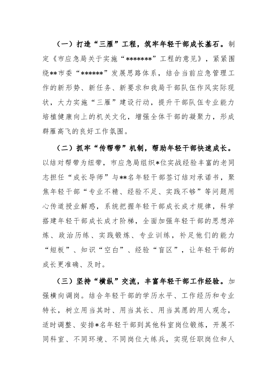 市应急管理局年轻干部专题调研活动情况总结.docx,第3页预览