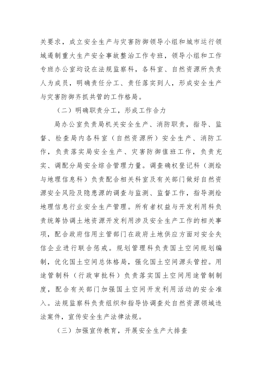 市自然资源和规划局XX分局安全生产工作总结.docx,第2页预览