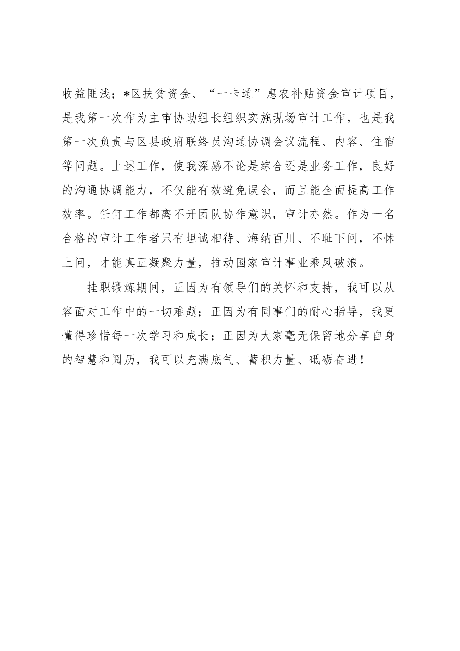 审计局干部挂职锻炼工作总结.docx,第4页预览
