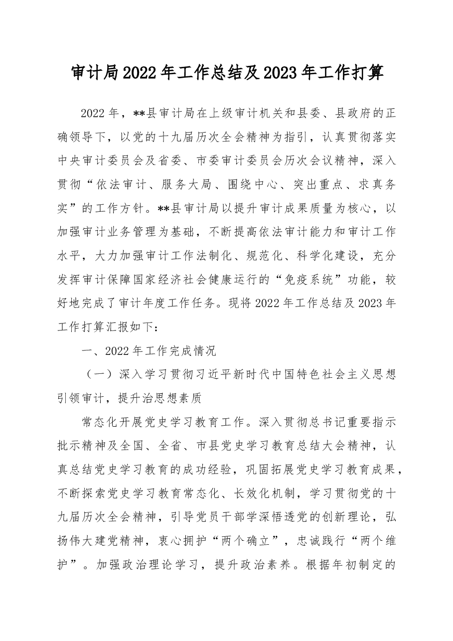 审计局2022年工作总结及2023年工作打算.docx,第1页预览