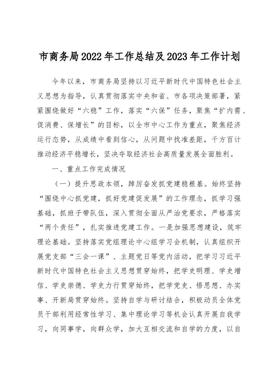市商务局2022年工作总结及2023年工作计划.docx,第1页预览