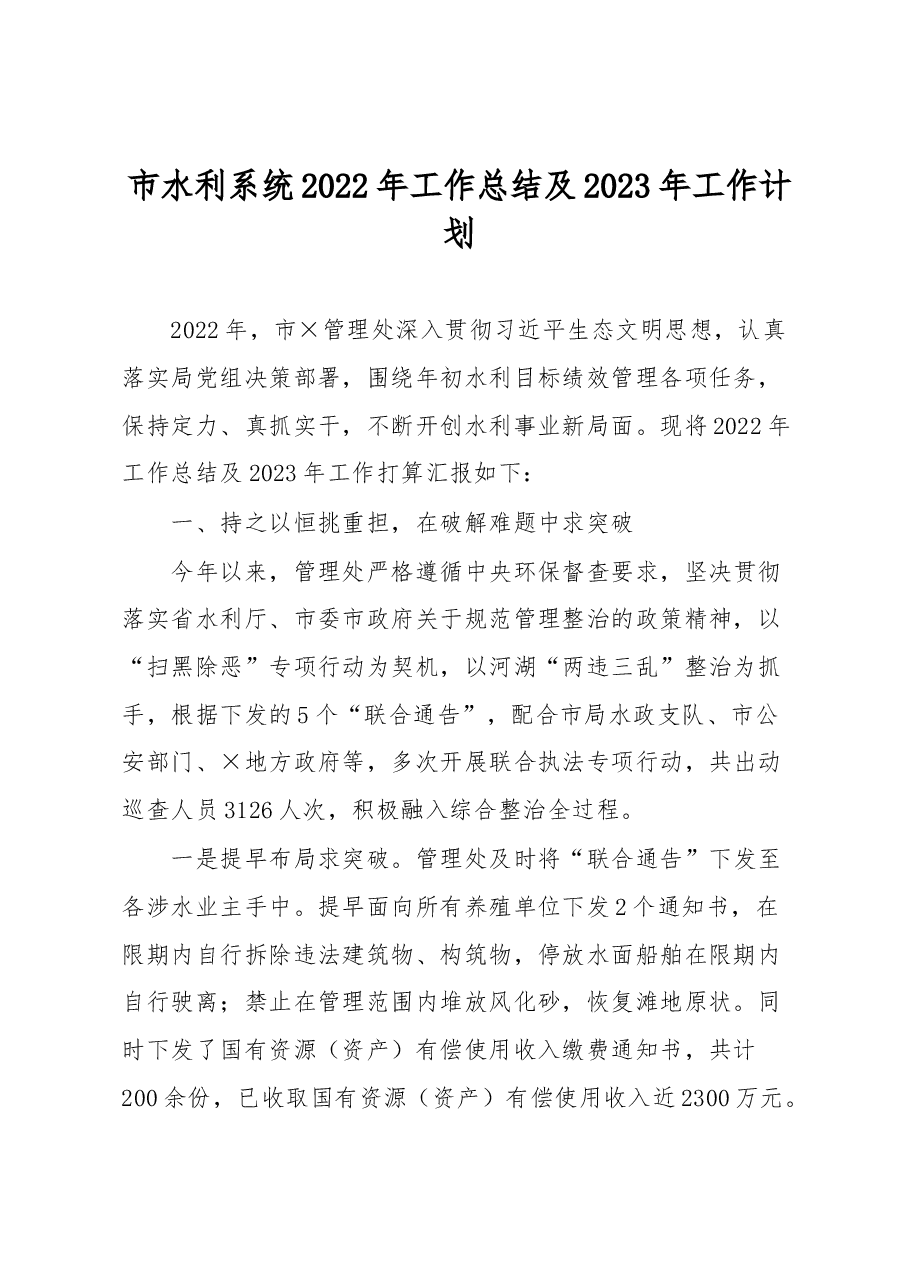市水利系统2022年工作总结及2023年工作计划.docx，第1页预览