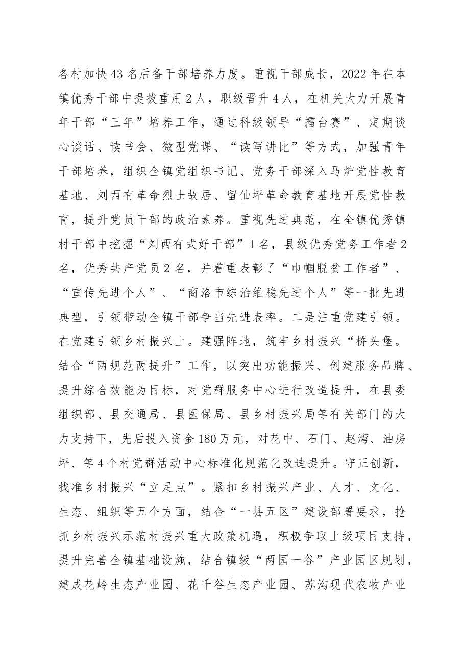 乡镇2022年党建工作总结.docx,第4页预览