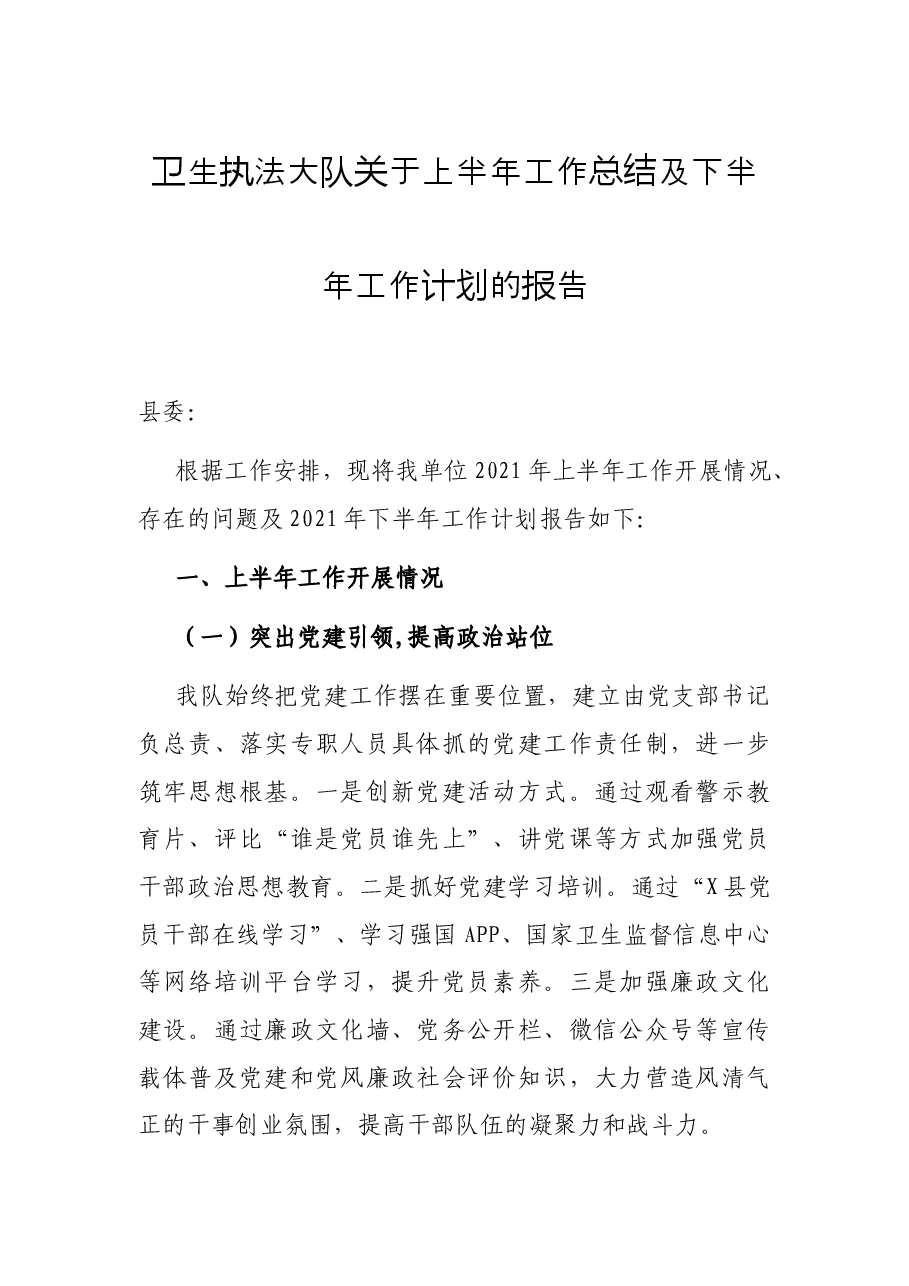 卫生执法大队关于上半年工作总结及下半年工作计划的报告.docx,第1页预览