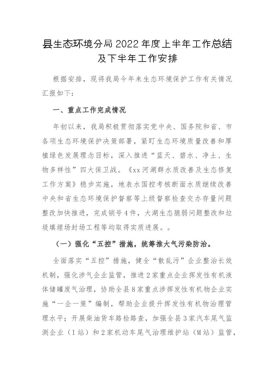 县生态环境分局2022年度上半年工作总结及下半年工作安排.docx,第1页预览