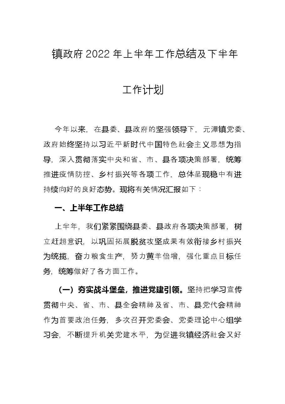 镇政府2022年上半年工作总结及下半年工作计划.docx,第1页预览