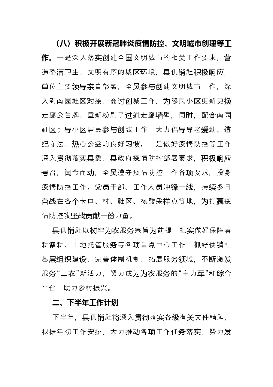县供销社2022年上半年工作总结及下半年工作计划.docx,第3页预览