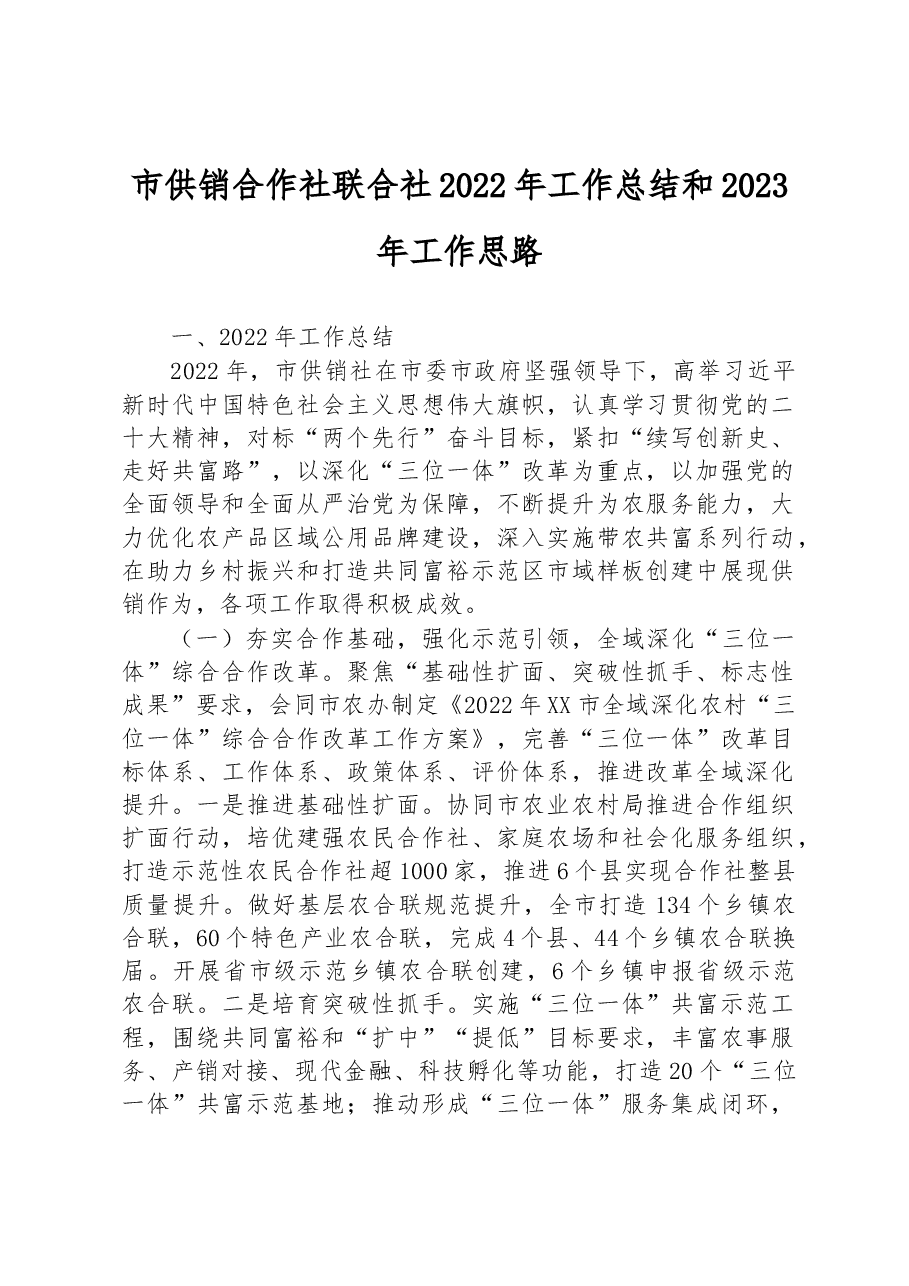市供销合作社联合社2022年工作总结和2023年工作思路.docx,第1页预览