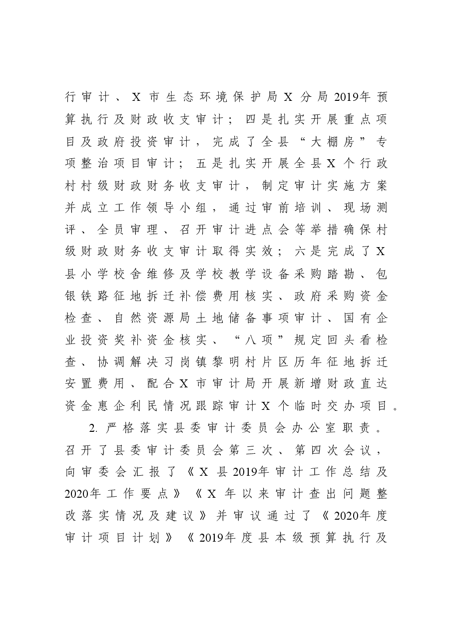 县审计局工作总结暨工作计划.docx,第3页预览