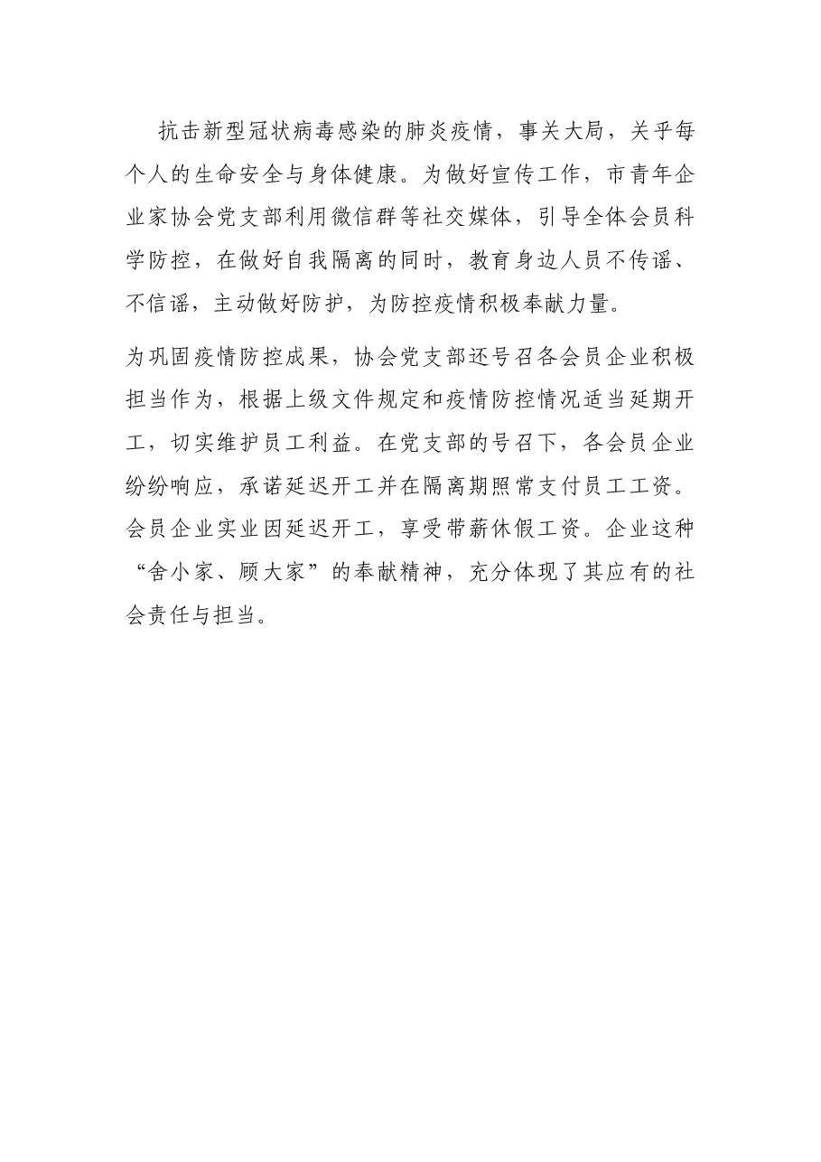 市青年企业家协会党支部先进事迹.docx,第3页预览