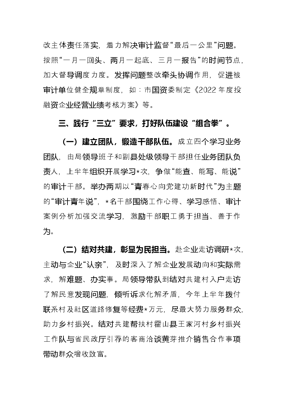 审计局2022年上半年工作总结和下半年工作安排.docx,第4页预览