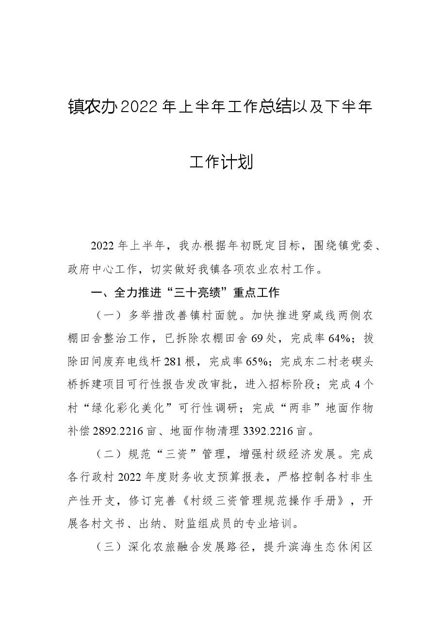 镇农办2022年上半年工作总结以及下半年工作计划.docx,第1页预览