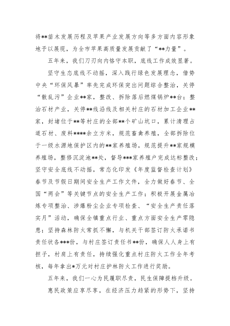 镇五年以来工作总结及下一个五年工作计划.docx,第3页预览