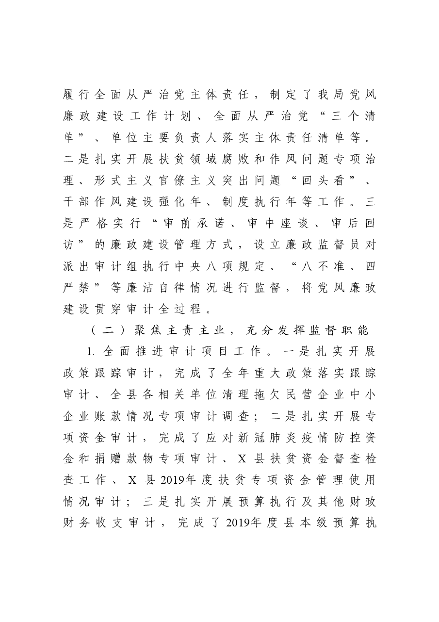 县审计局工作总结暨工作计划.docx,第2页预览