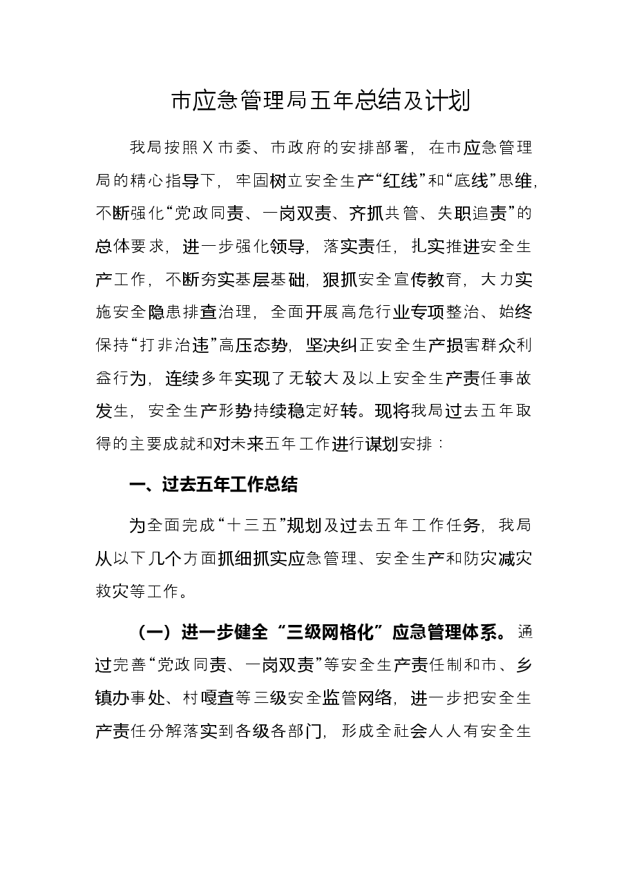 市应急管理局五年总结及计划.docx,第1页预览