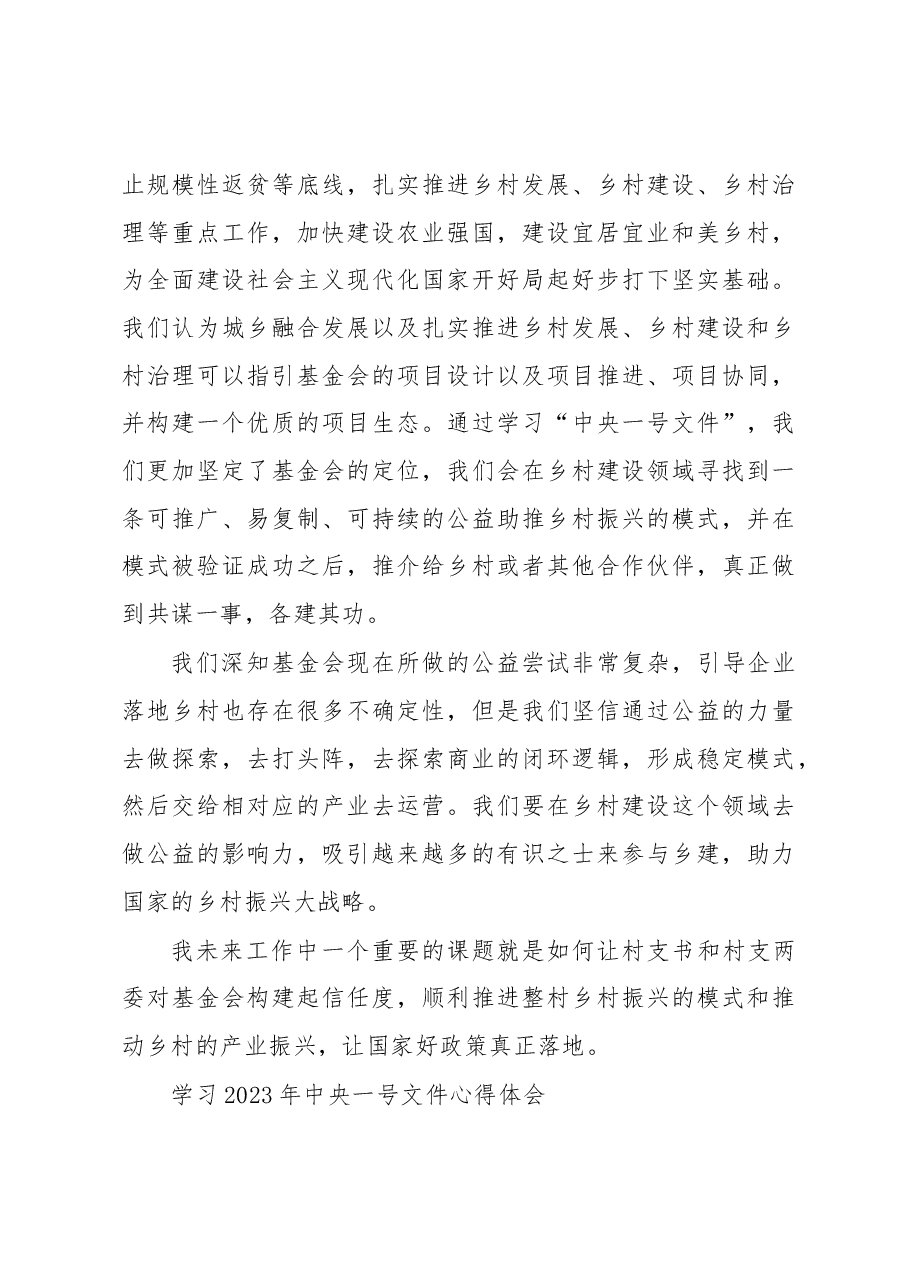 (9篇)学习2023年中央一号文件心得体会汇编.docx,第4页预览