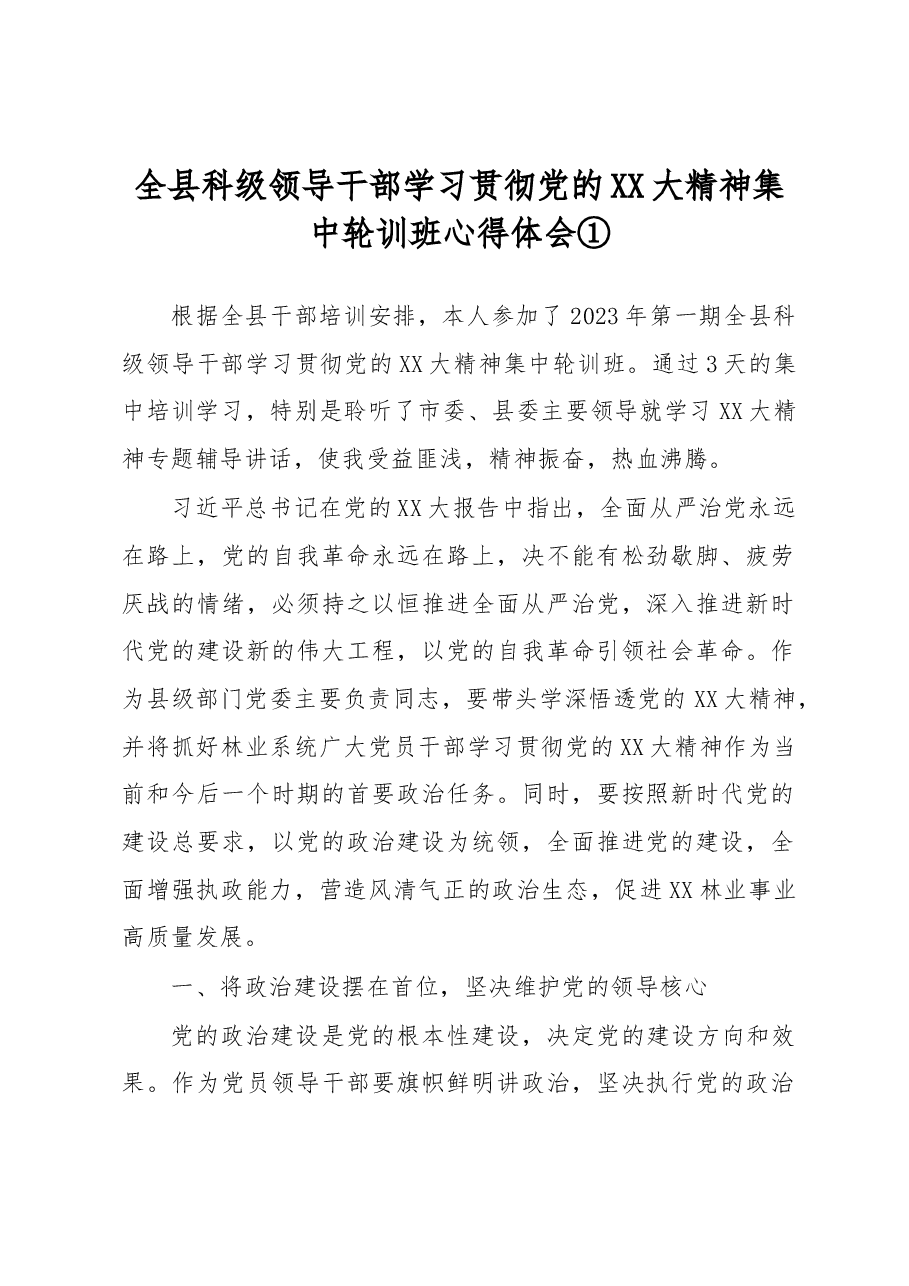 (4篇)全县科级领导干部学习贯彻党的二十大精神集中轮训班心得体会汇编.docx,第1页预览