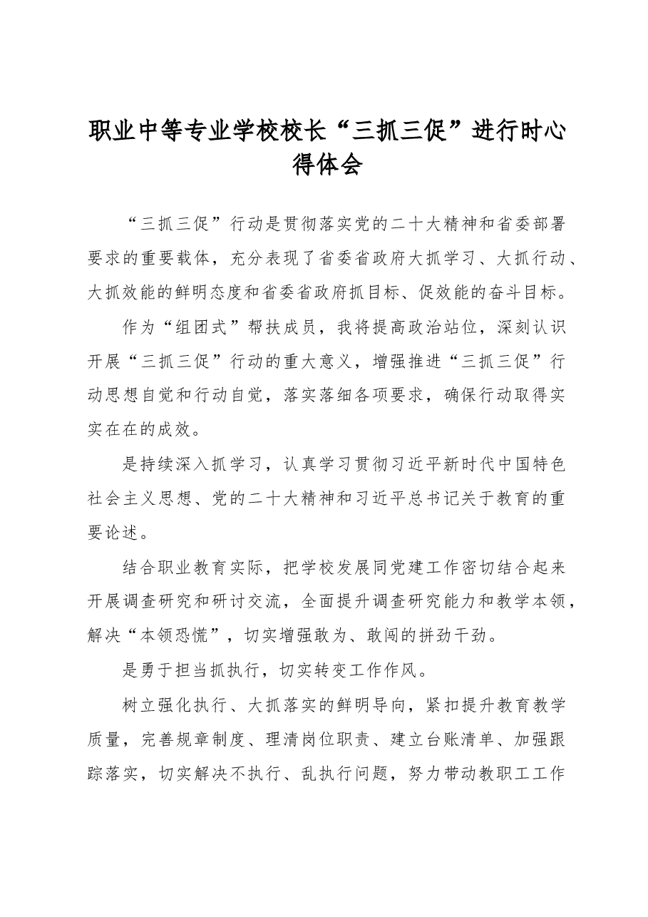 职业中等专业学校校长“三抓三促”进行时心得体会.docx,第1页预览