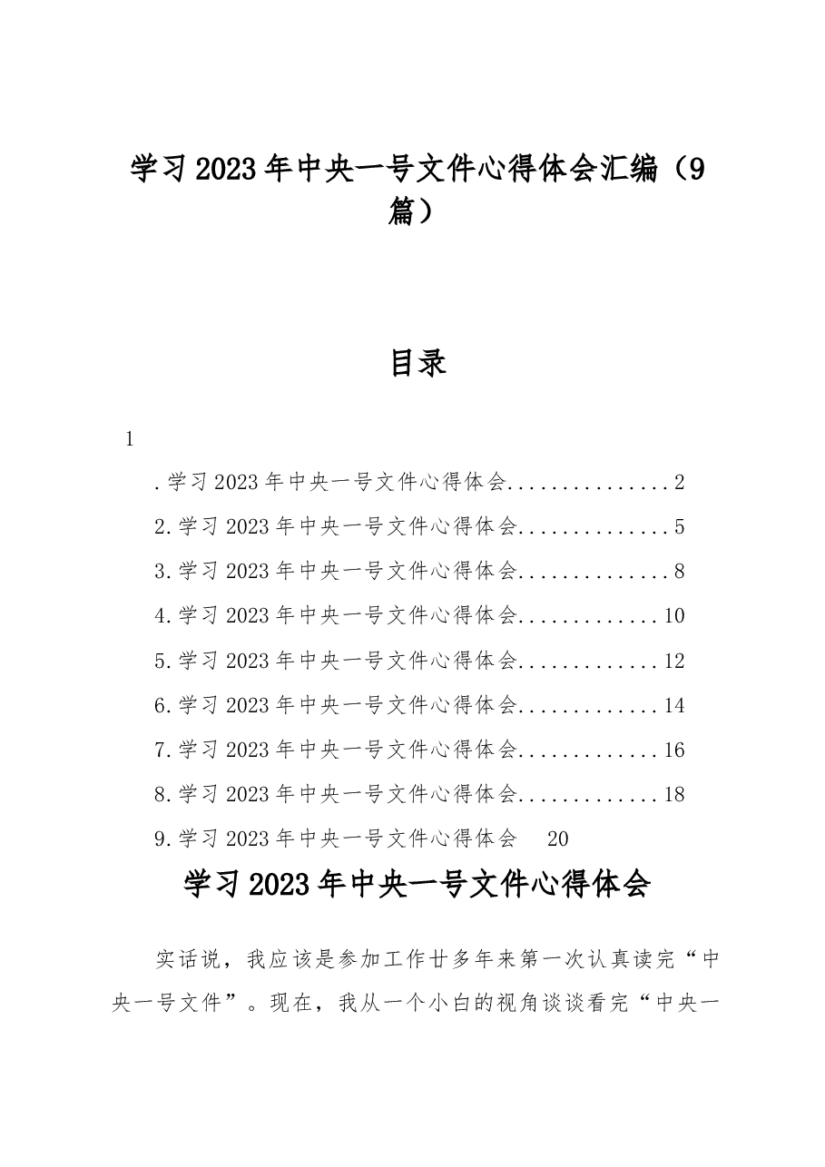 (9篇)学习2023年中央一号文件心得体会汇编.docx,第1页预览