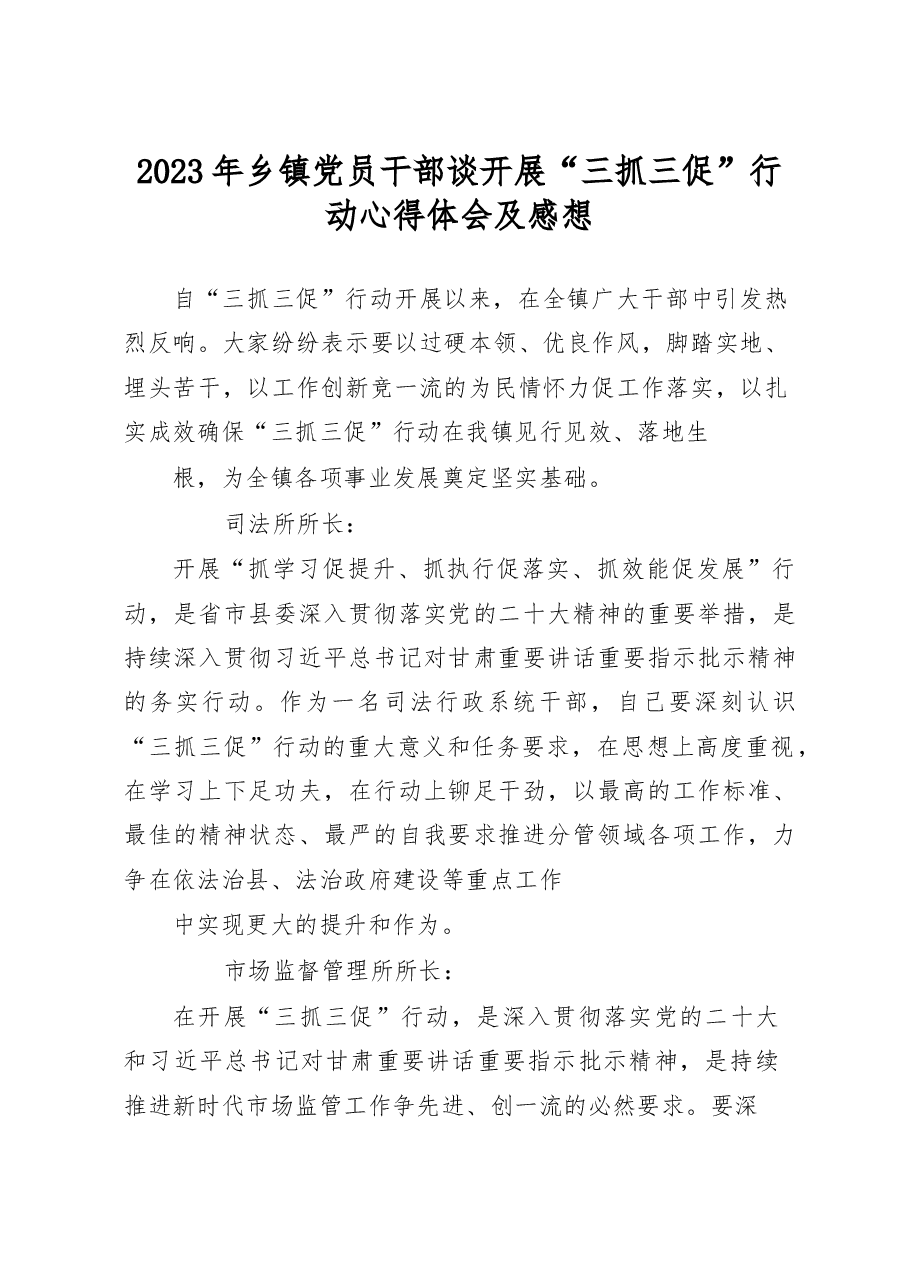 2023年乡镇党员干部谈开展“三抓三促”行动心得体会及感想.docx,第1页预览