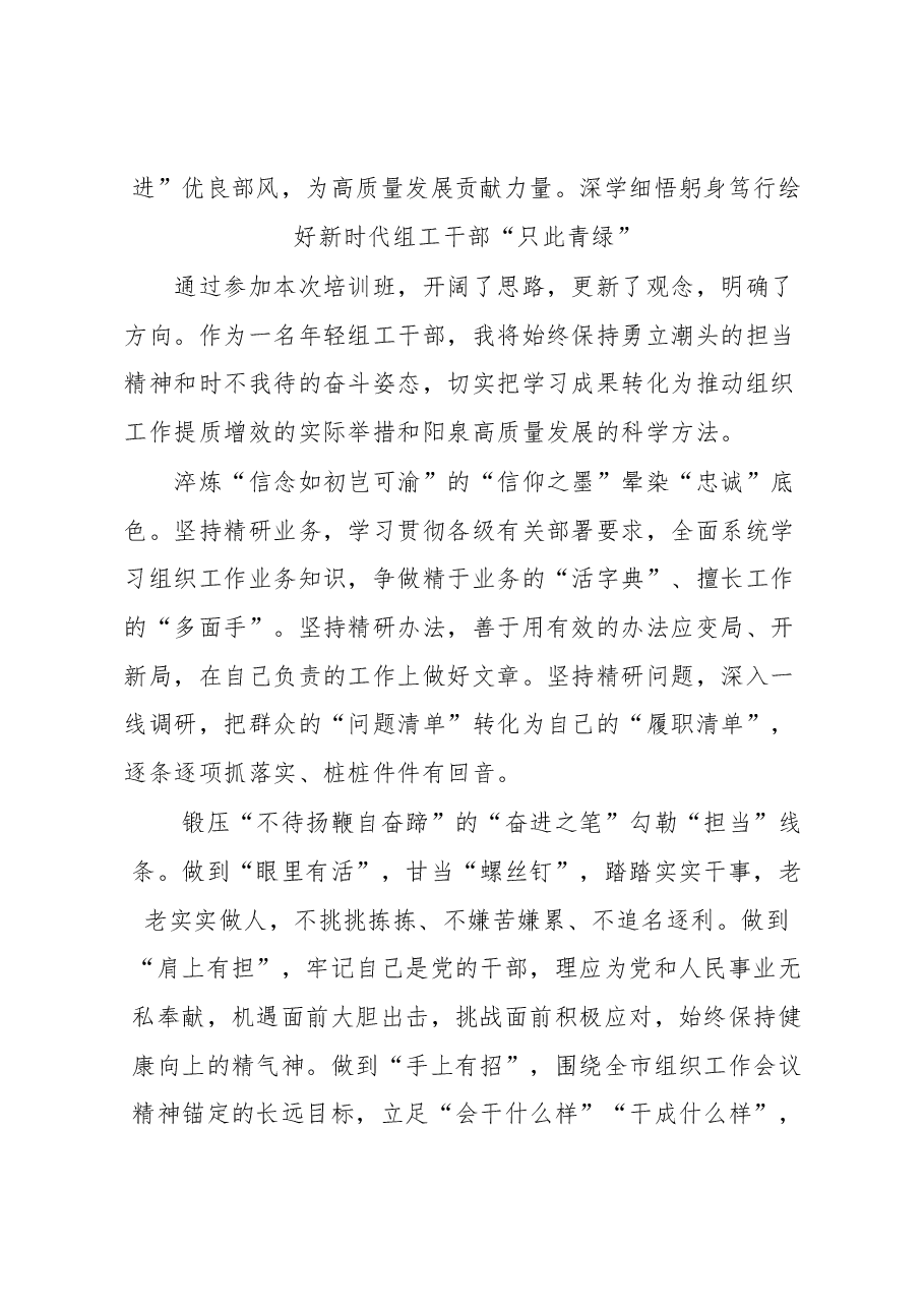 (9篇)全市组织系统年轻干部学习培训班体会汇编.docx,第3页预览