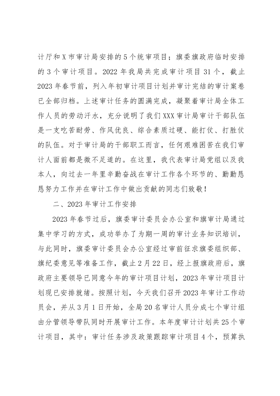 在审计工作动员会上的讲话.docx,第2页预览