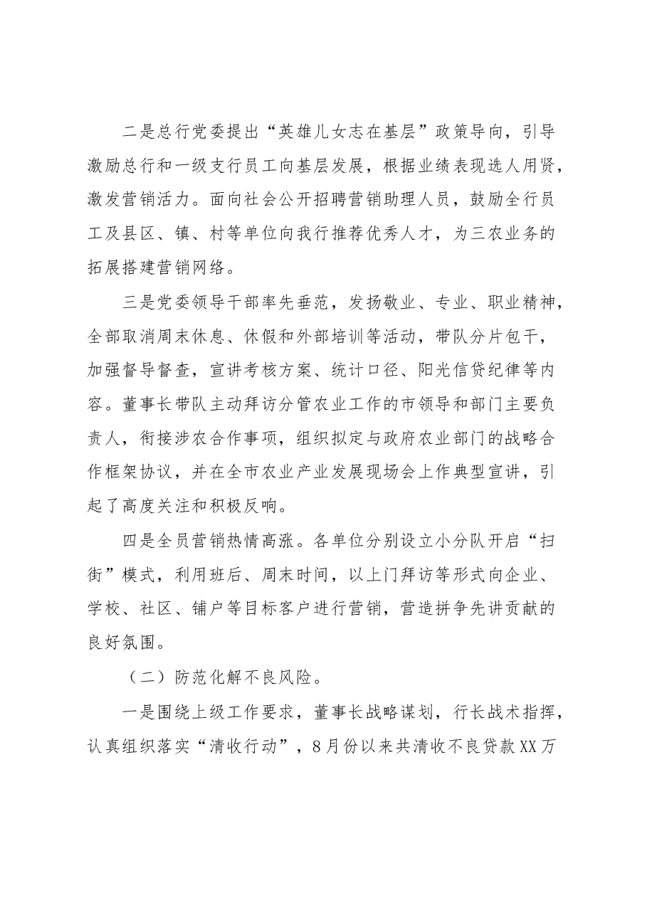 XX银行党建品牌建设情况及活动落实情况报告.docx，第3页预览