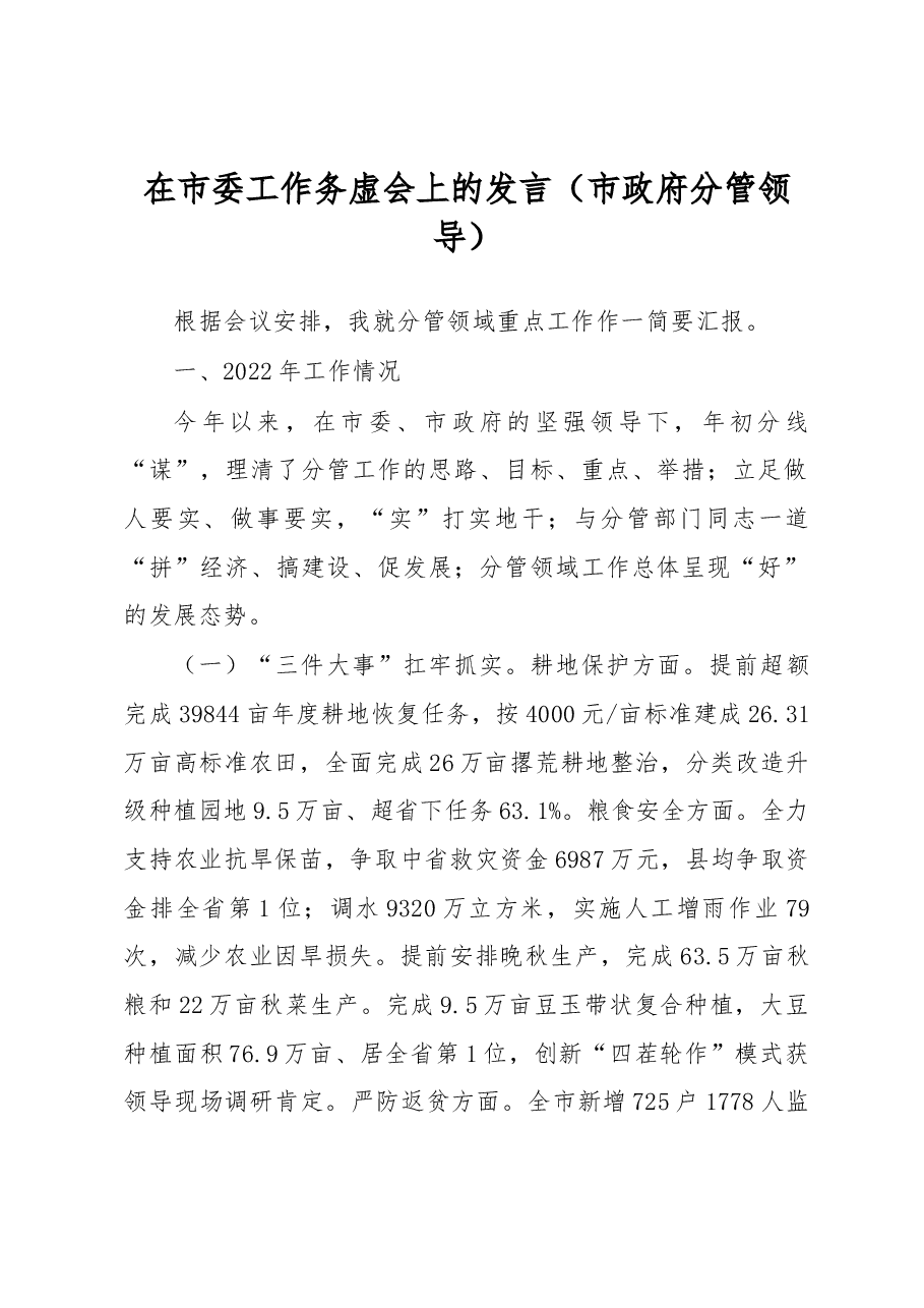 在市委工作务虚会上的发言（市政府分管领导）.docx，第1页预览