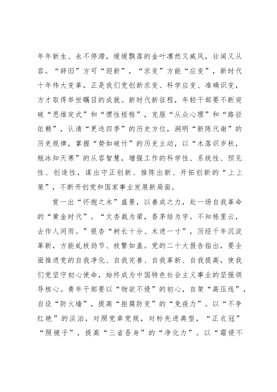 赏一出“银杏盛景” 赴一场“黄金时代”.docx,第3页预览