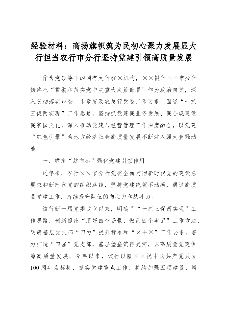 经验材料:高扬旗帜筑为民初心 聚力发展显大行担当农行市分行坚持党建引领高质量发展.docx,第1页预览