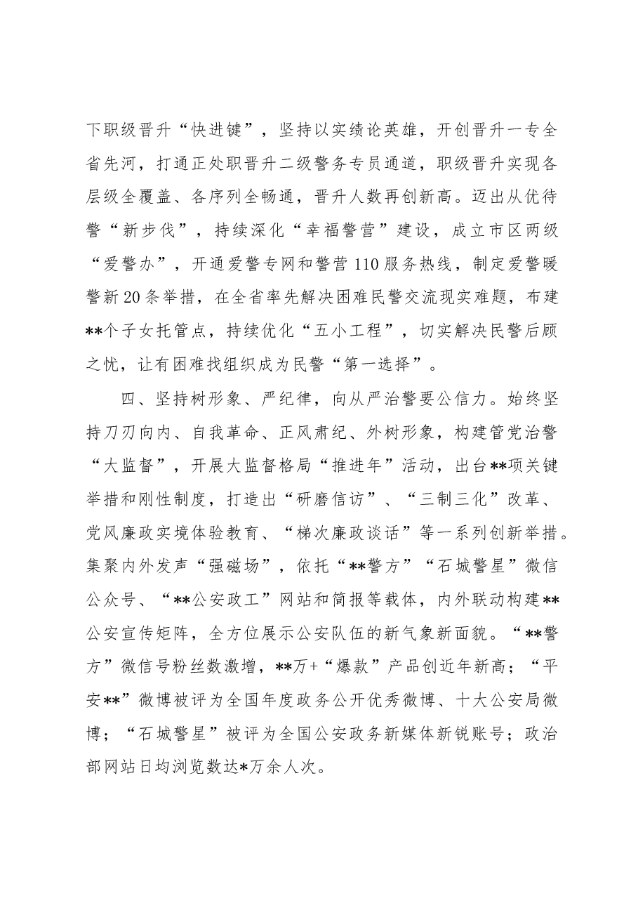 在公安系统政治工作会议上的汇报发言.docx,第3页预览