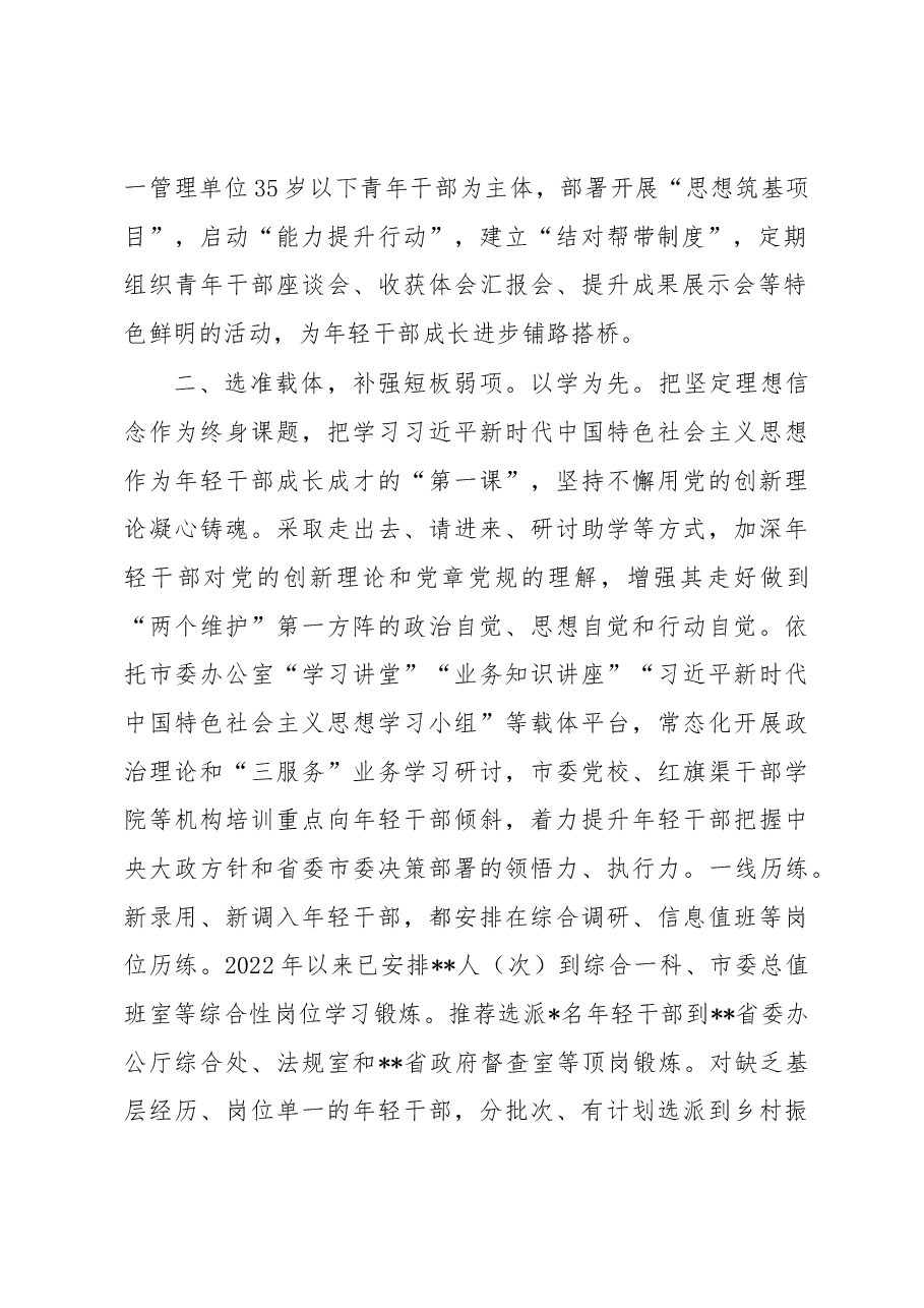 在全市年轻干部工作座谈会上的发言.docx,第2页预览