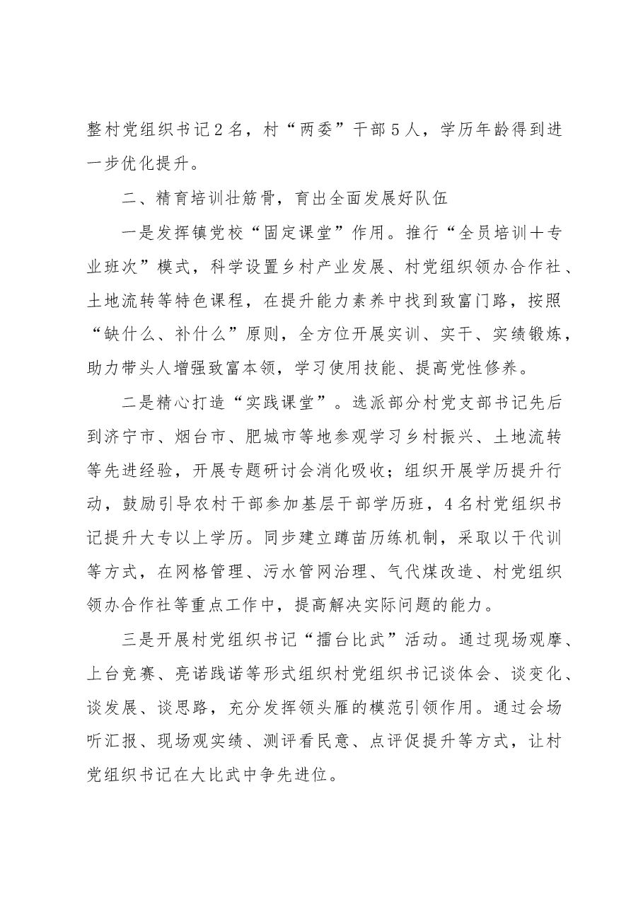 乡镇党委基层党组织带头人队伍建设工作汇报.docx,第2页预览