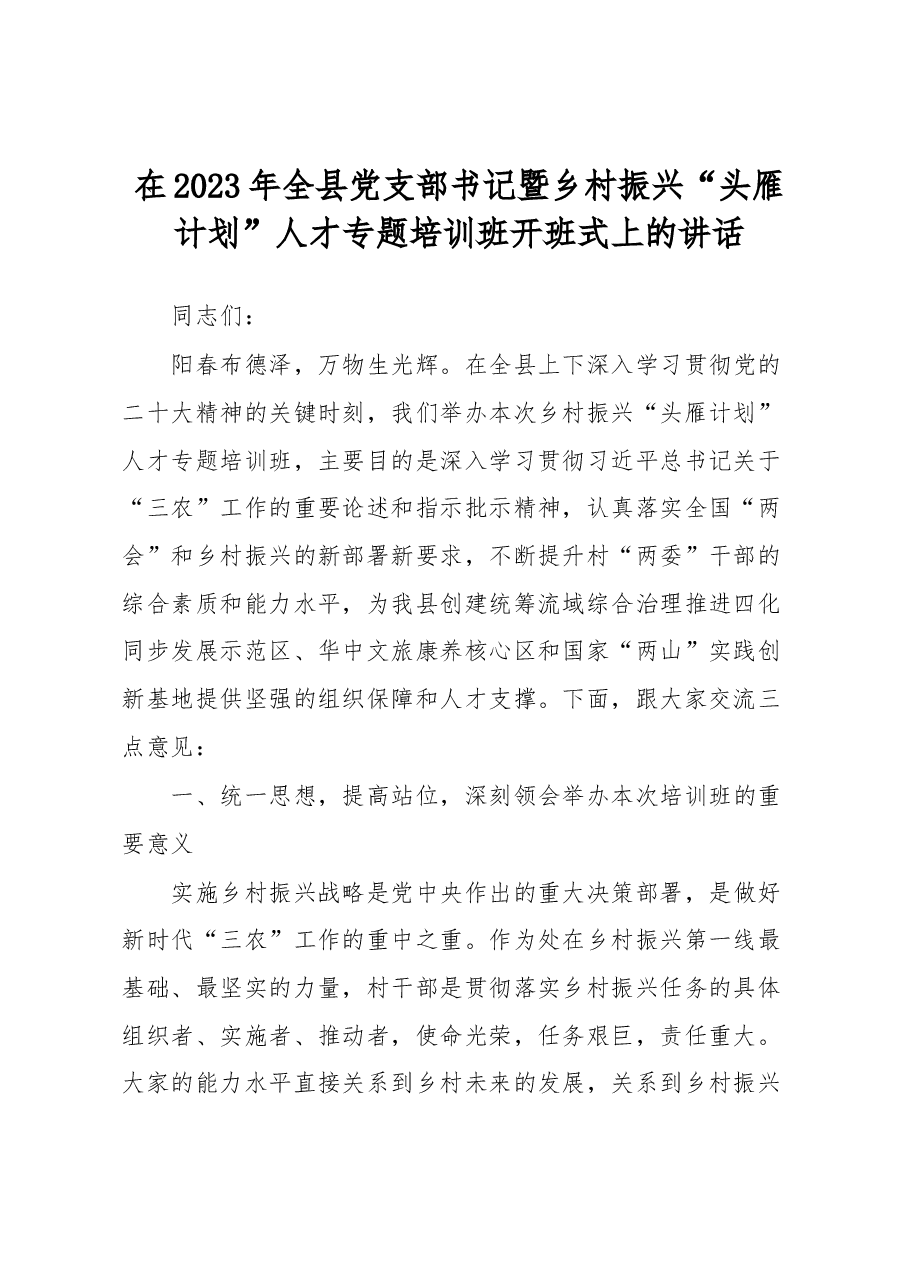 在2023年全县党支部书记暨乡村振兴“头雁计划”人才专题培训班开班式上的讲话.docx,第1页预览