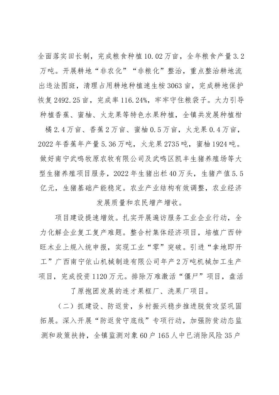 2022年镇政府工作报告.docx,第2页预览