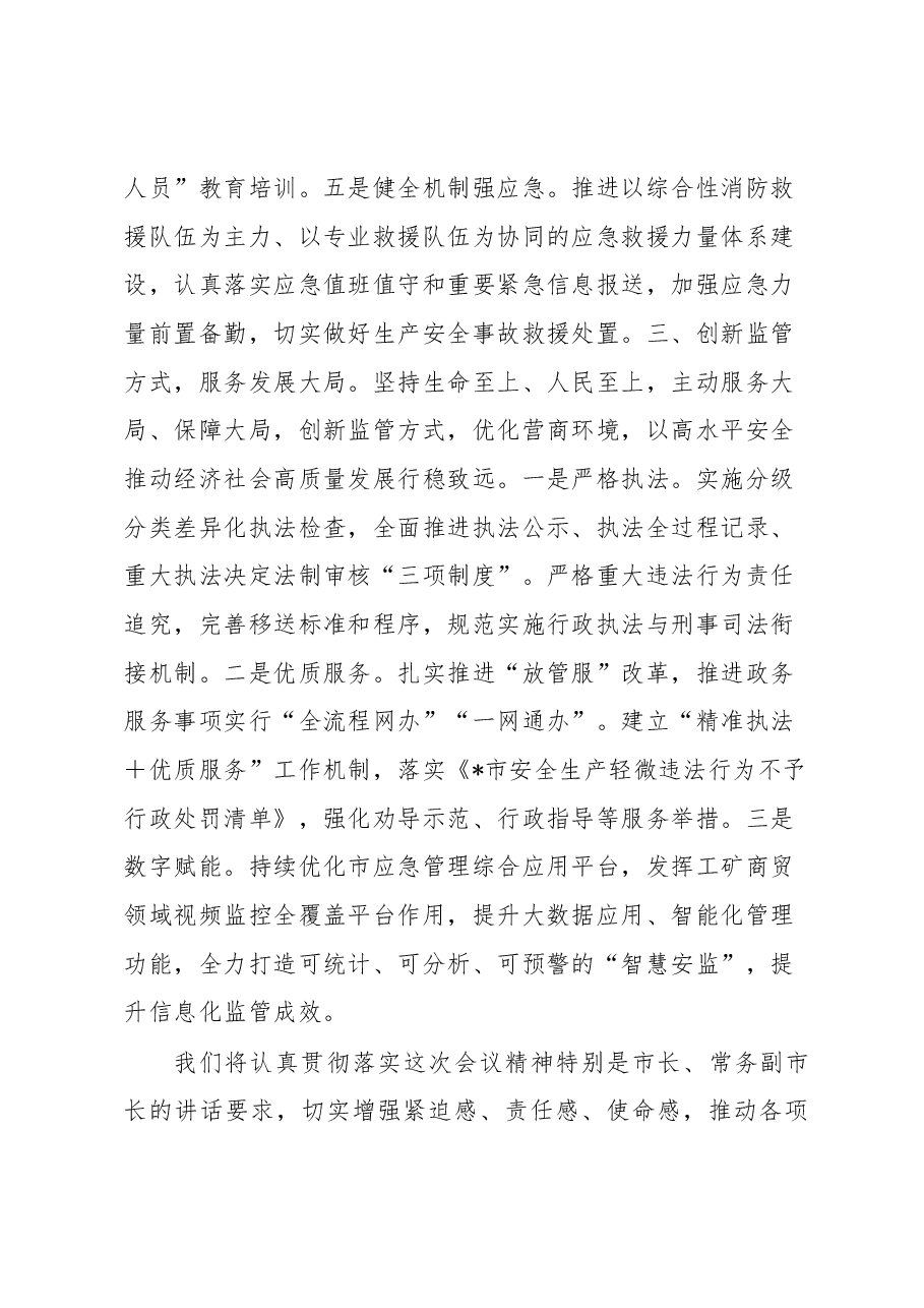 在全市安全生产工作会议上的发言.docx,第3页预览