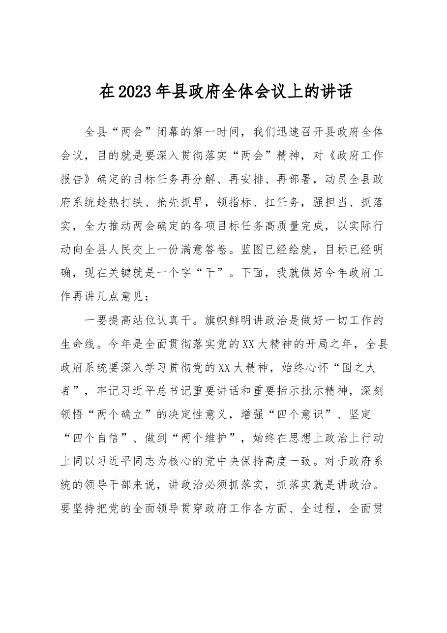 在2023年县政府全体会议上的讲话.docx,第1页预览