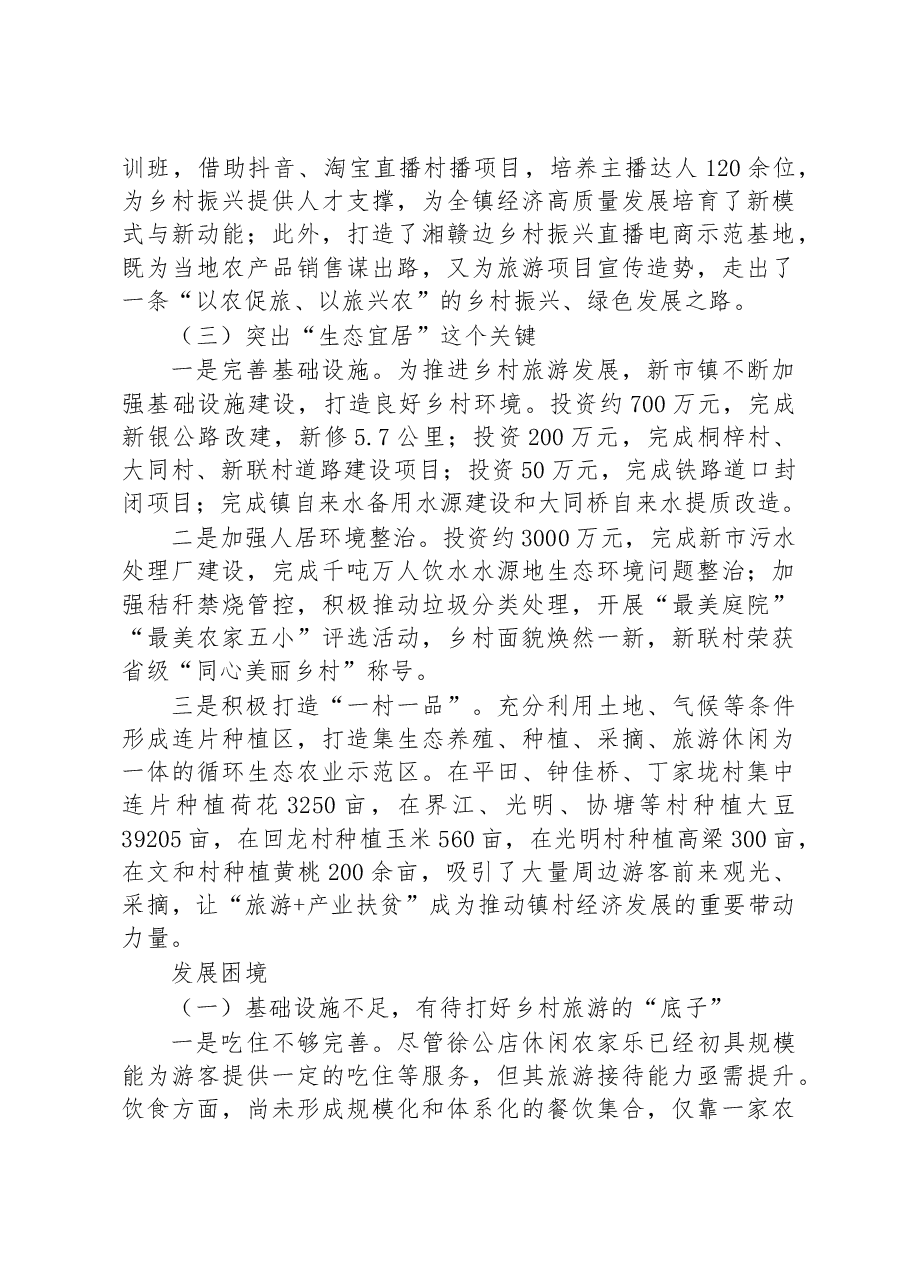 关于攸县新市镇乡村旅游发展的调研报告.docx,第3页预览