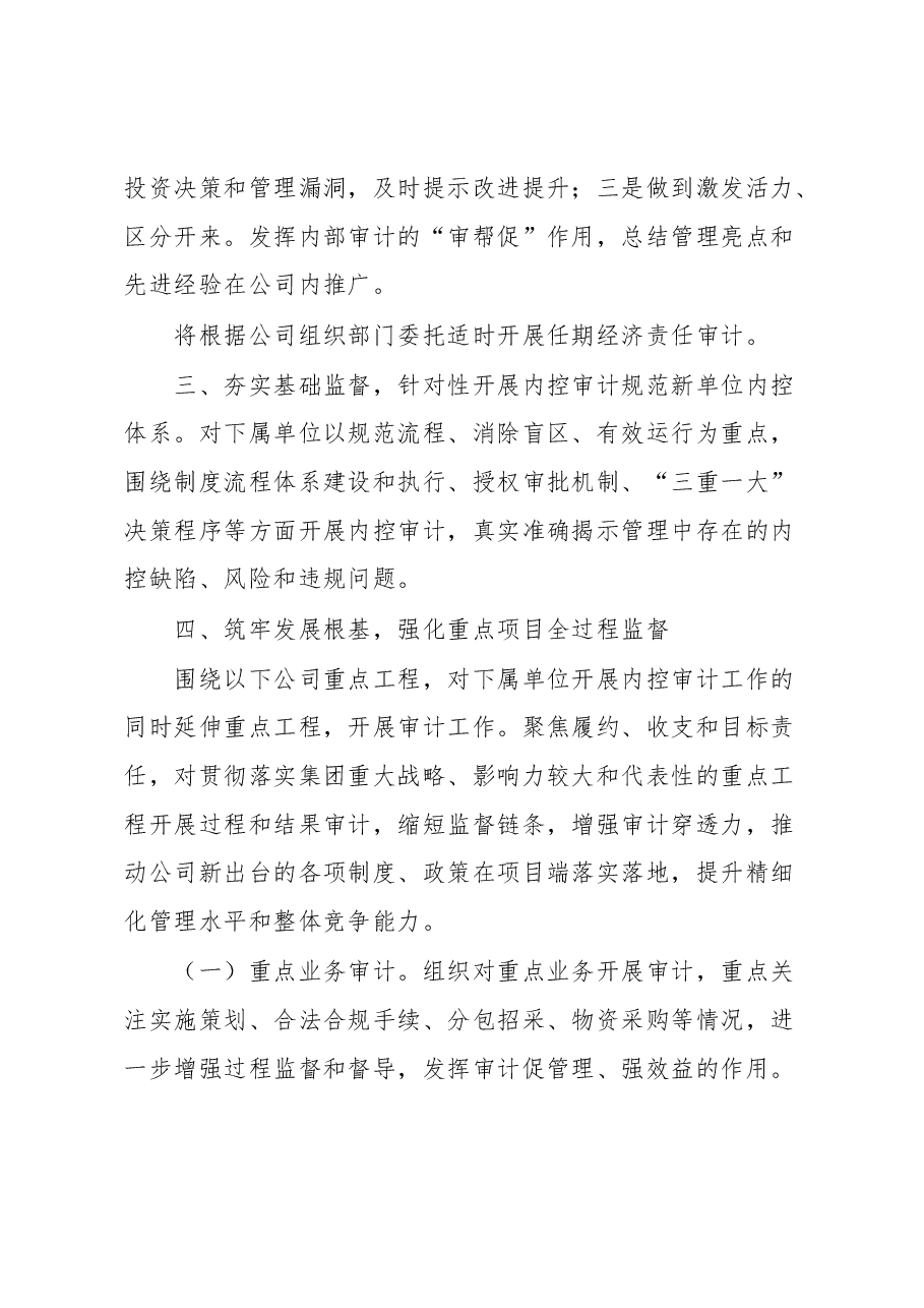 某单位2023年审计工作要点.docx,第3页预览