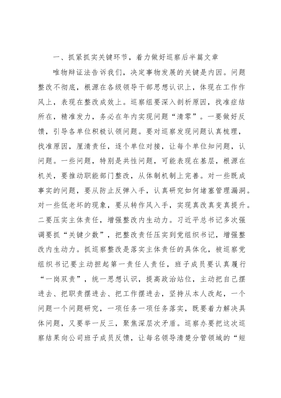 在专项巡察汇报会上的讲话.docx,第2页预览
