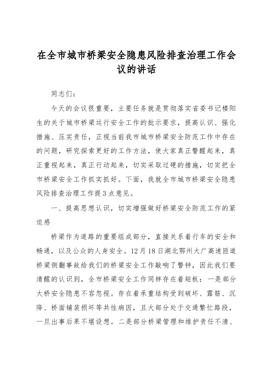 在全市城市桥梁安全隐患风险排查治理工作会议的讲话.docx,第1页预览