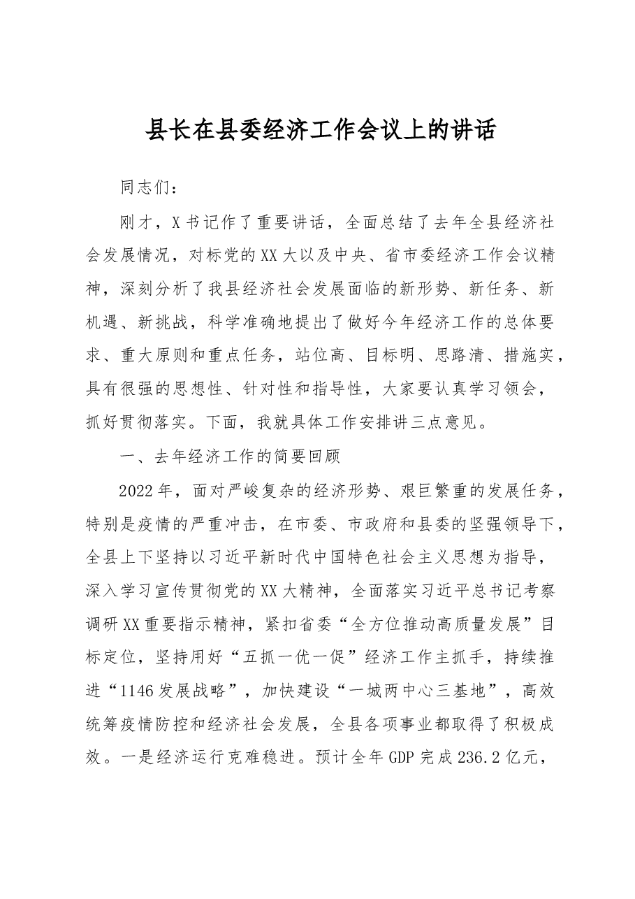县长在县委经济工作会议上的讲话.docx,第1页预览
